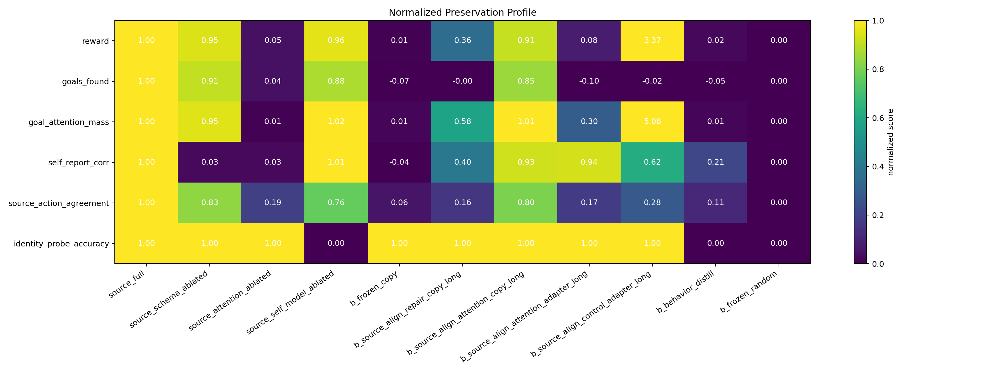 Normalized preservation profile across source, ablation, transfer, bridge, behavior-only, and random-control conditions.