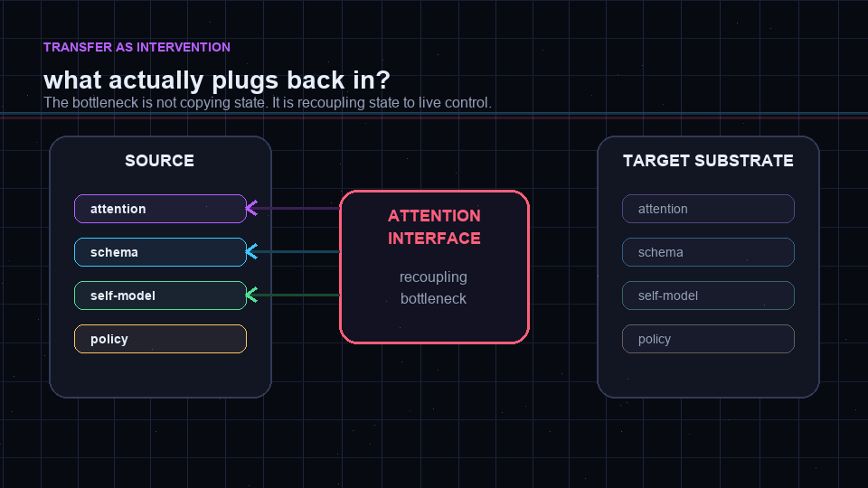 A transfer animation showing source modules moving into a target substrate, with the attention interface acting as the recoupling bottleneck.